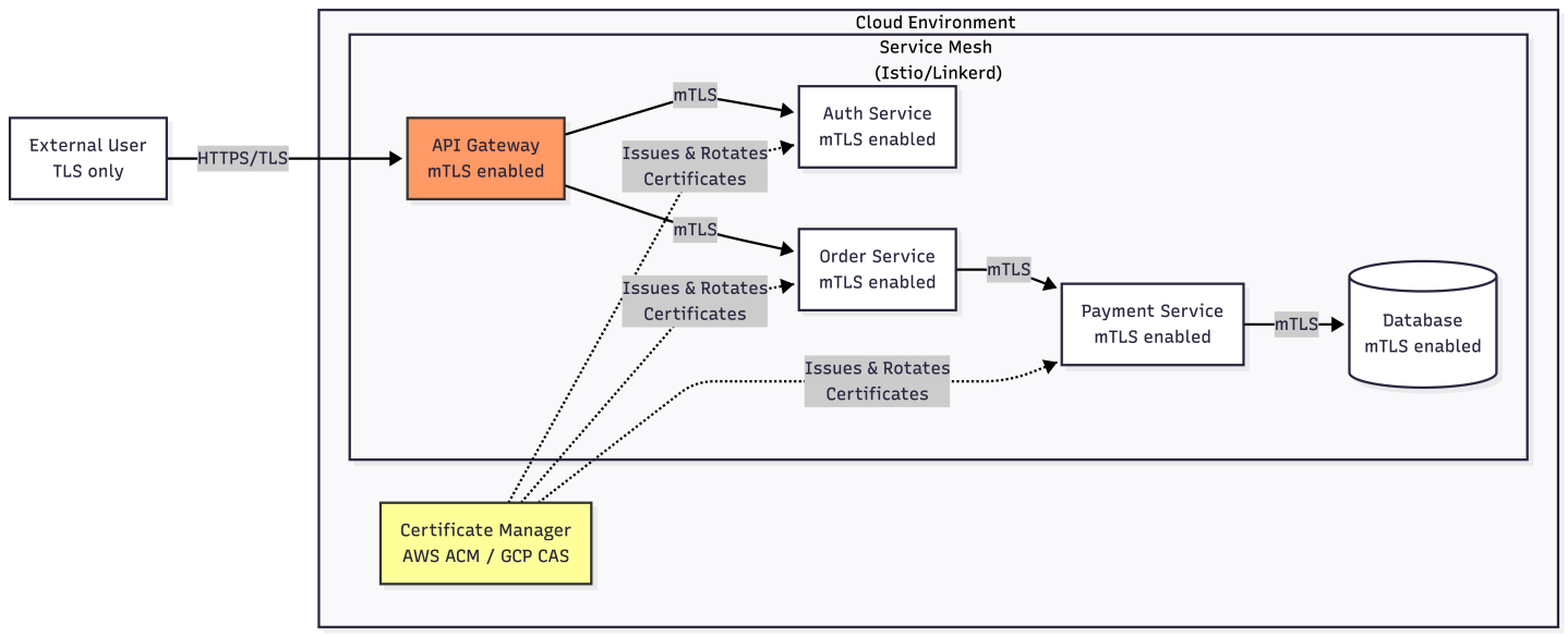 Understanding mTLS in Cloud Environments: A Complete Guide – Platformwale